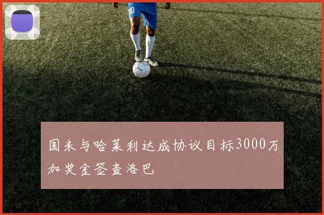 国米与哈莱利达成协议目标3000万加奖金签查洛巴