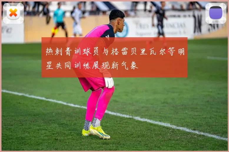 热刺青训球员与格雷贝里瓦尔等明星共同训练展现新气象